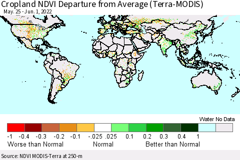 World Cropland NDVI Departure from Average (Terra-MODIS) Thematic Map For 5/25/2022 - 6/1/2022