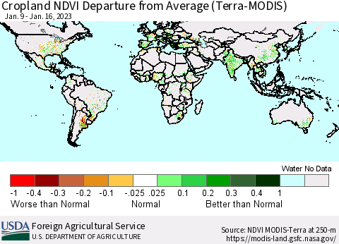 World Cropland NDVI Departure from Average (Terra-MODIS) Thematic Map For 1/11/2023 - 1/20/2023