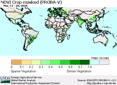 World NDVI Crop-masked (PROBA-V) Thematic Map For 3/11/2020 - 3/20/2020