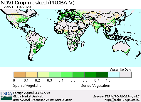 World NDVI Crop-masked (PROBA-V) Thematic Map For 4/1/2020 - 4/10/2020