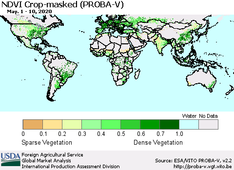 World NDVI Crop-masked (PROBA-V) Thematic Map For 5/1/2020 - 5/10/2020