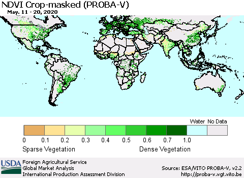 World NDVI Crop-masked (PROBA-V) Thematic Map For 5/11/2020 - 5/20/2020
