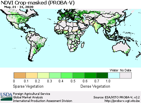 World NDVI Crop-masked (PROBA-V) Thematic Map For 5/21/2020 - 5/31/2020