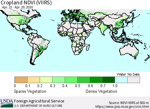 World Cropland NDVI (VIIRS) Thematic Map For 4/21/2020 - 4/30/2020