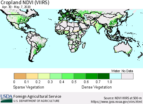 World Cropland NDVI (VIIRS) Thematic Map For 5/1/2020 - 5/10/2020