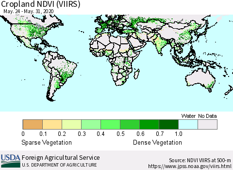 World Cropland NDVI (VIIRS) Thematic Map For 5/21/2020 - 5/31/2020