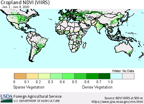 World Cropland NDVI (VIIRS) Thematic Map For 6/1/2020 - 6/10/2020