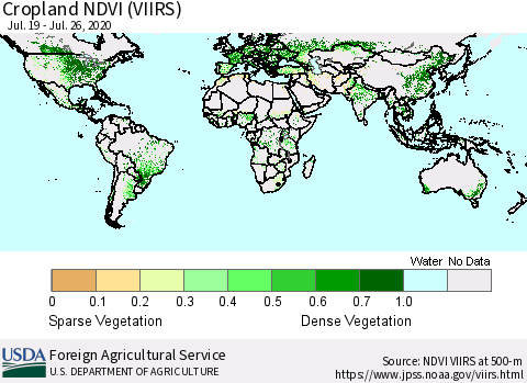 World Cropland NDVI (VIIRS) Thematic Map For 7/21/2020 - 7/31/2020