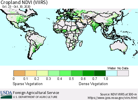 World Cropland NDVI (VIIRS) Thematic Map For 10/21/2020 - 10/31/2020