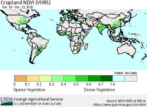 World Cropland NDVI (VIIRS) Thematic Map For 12/21/2020 - 12/31/2020