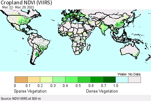 World Cropland NDVI (VIIRS) Thematic Map For 3/22/2021 - 3/29/2021