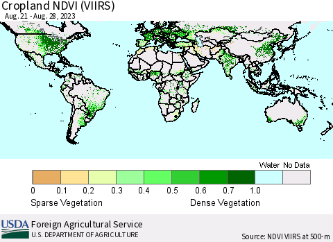 World Cropland NDVI (VIIRS) Thematic Map For 8/21/2023 - 8/31/2023