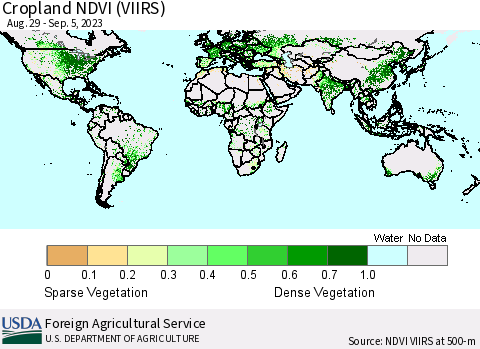 World Cropland NDVI (VIIRS) Thematic Map For 9/1/2023 - 9/10/2023