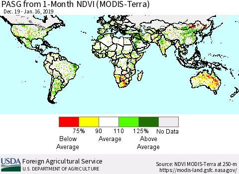 World PASG from 1-Month NDVI (Terra-MODIS) Thematic Map For 1/11/2019 - 1/20/2019