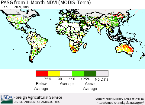 World PASG from 1-Month NDVI (Terra-MODIS) Thematic Map For 2/1/2019 - 2/10/2019