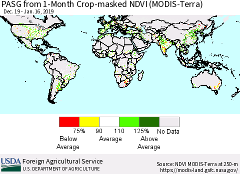World PASG from 1-Month Cropland NDVI (Terra-MODIS) Thematic Map For 1/11/2019 - 1/20/2019