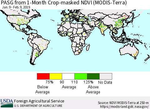 World PASG from 1-Month Cropland NDVI (Terra-MODIS) Thematic Map For 2/1/2019 - 2/10/2019