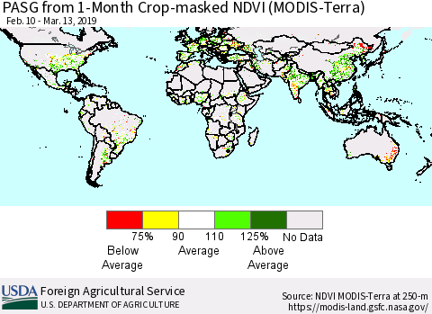 World PASG from 1-Month Cropland NDVI (Terra-MODIS) Thematic Map For 3/11/2019 - 3/20/2019