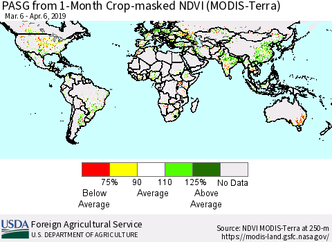 World PASG from 1-Month Cropland NDVI (Terra-MODIS) Thematic Map For 4/1/2019 - 4/10/2019