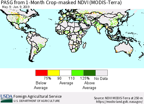 World PASG from 1-Month Cropland NDVI (Terra-MODIS) Thematic Map For 6/1/2019 - 6/10/2019