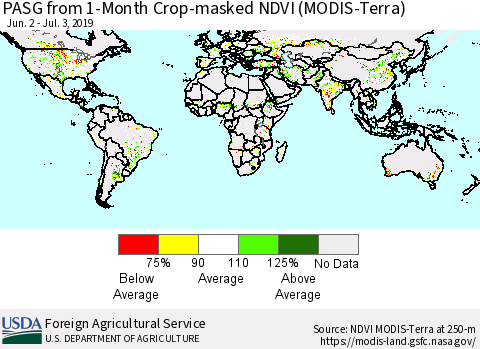 World PASG from 1-Month Cropland NDVI (Terra-MODIS) Thematic Map For 7/1/2019 - 7/10/2019
