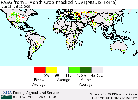 World PASG from 1-Month Cropland NDVI (Terra-MODIS) Thematic Map For 7/11/2019 - 7/20/2019