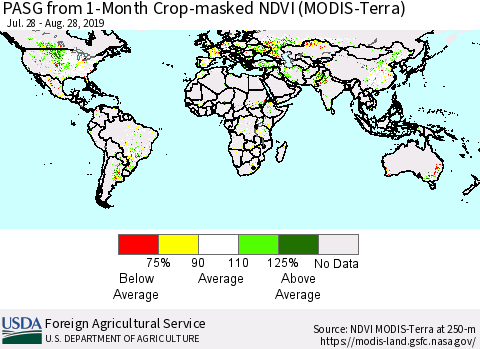 World PASG from 1-Month Cropland NDVI (Terra-MODIS) Thematic Map For 8/21/2019 - 8/31/2019