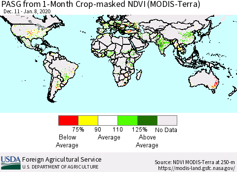 World PASG from 1-Month Cropland NDVI (Terra-MODIS) Thematic Map For 1/1/2020 - 1/10/2020