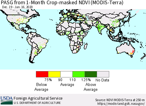 World PASG from 1-Month Crop-masked NDVI (MODIS-Terra) Thematic Map For 1/11/2020 - 1/20/2020