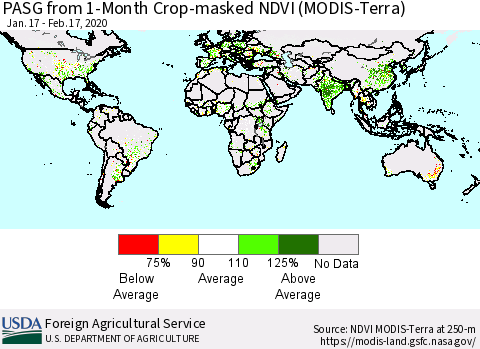 World PASG from 1-Month Cropland NDVI (Terra-MODIS) Thematic Map For 2/11/2020 - 2/20/2020
