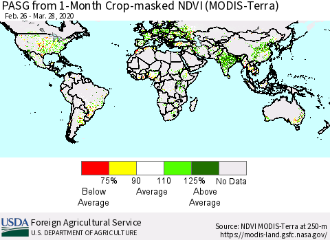 World PASG from 1-Month Cropland NDVI (Terra-MODIS) Thematic Map For 3/21/2020 - 3/31/2020