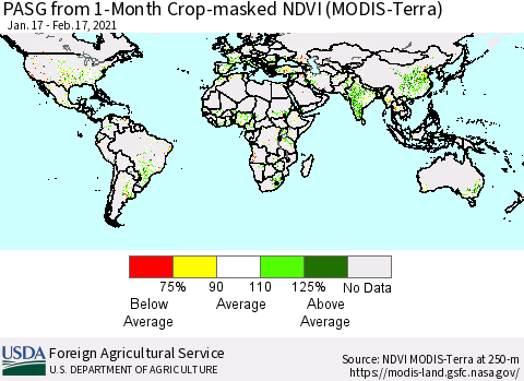 World PASG from 1-Month Cropland NDVI (Terra-MODIS) Thematic Map For 2/11/2021 - 2/20/2021