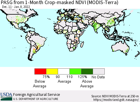 World PASG from 1-Month Cropland NDVI (Terra-MODIS) Thematic Map For 1/1/2022 - 1/10/2022