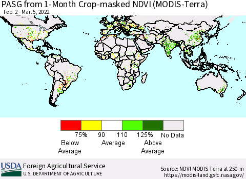 World PASG from 1-Month Cropland NDVI (Terra-MODIS) Thematic Map For 3/1/2022 - 3/10/2022