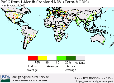World PASG from 1-Month Cropland NDVI (Terra-MODIS) Thematic Map For 4/11/2022 - 4/20/2022