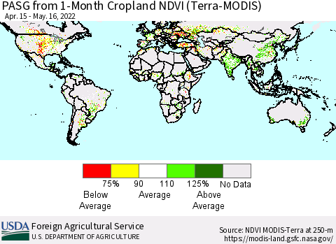 World PASG from 1-Month Cropland NDVI (Terra-MODIS) Thematic Map For 5/11/2022 - 5/20/2022
