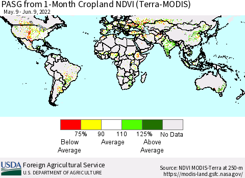 World PASG from 1-Month Cropland NDVI (Terra-MODIS) Thematic Map For 6/1/2022 - 6/10/2022