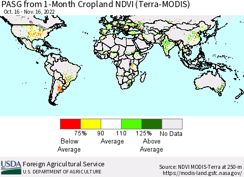 World PASG from 1-Month Cropland NDVI (Terra-MODIS) Thematic Map For 11/11/2022 - 11/20/2022
