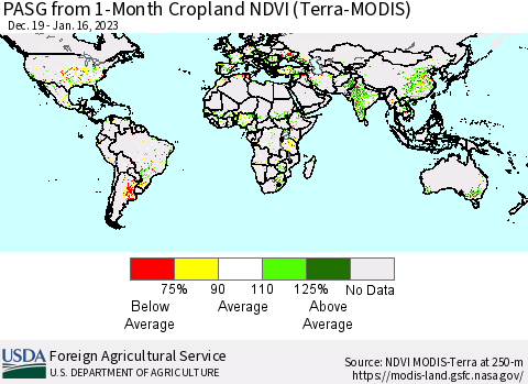 World PASG from 1-Month Cropland NDVI (Terra-MODIS) Thematic Map For 1/11/2023 - 1/20/2023