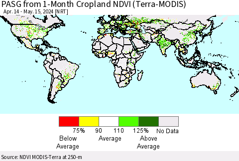 World PASG from 1-Month Cropland NDVI (Terra-MODIS) Thematic Map For 5/8/2024 - 5/15/2024