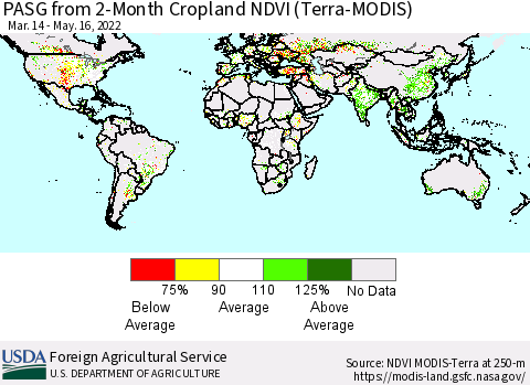 World PASG from 2-Month Cropland NDVI (Terra-MODIS) Thematic Map For 5/11/2022 - 5/20/2022