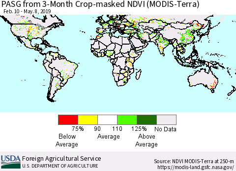 World PASG from 3-Month Cropland NDVI (Terra-MODIS) Thematic Map For 5/1/2019 - 5/10/2019