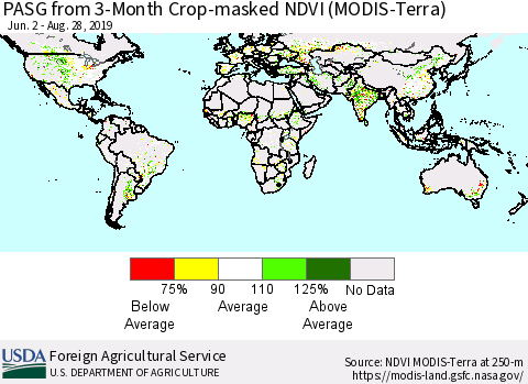 World PASG from 3-Month Cropland NDVI (Terra-MODIS) Thematic Map For 8/21/2019 - 8/31/2019