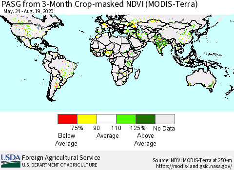World PASG from 3-Month Cropland NDVI (Terra-MODIS) Thematic Map For 8/11/2020 - 8/20/2020