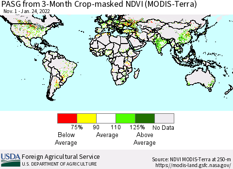 World PASG from 3-Month Cropland NDVI (Terra-MODIS) Thematic Map For 1/21/2022 - 1/31/2022
