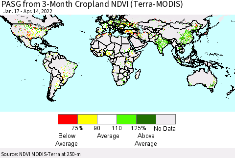 World PASG from 3-Month Cropland NDVI (Terra-MODIS) Thematic Map For 4/7/2022 - 4/14/2022