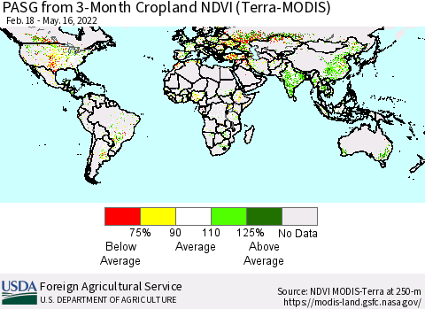 World PASG from 3-Month Cropland NDVI (Terra-MODIS) Thematic Map For 5/11/2022 - 5/20/2022