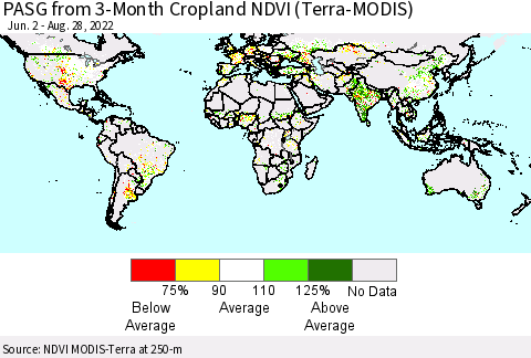 World PASG from 3-Month Cropland NDVI (Terra-MODIS) Thematic Map For 8/21/2022 - 8/28/2022