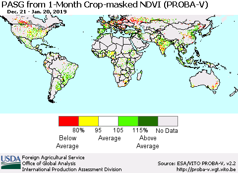 World PASG from 1-Month Crop-masked NDVI (PROBA-V) Thematic Map For 1/11/2019 - 1/20/2019