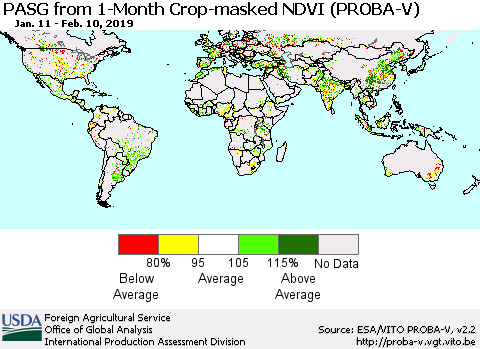 World PASG from 1-Month Crop-masked NDVI (PROBA-V) Thematic Map For 2/1/2019 - 2/10/2019